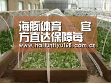 环境展示五