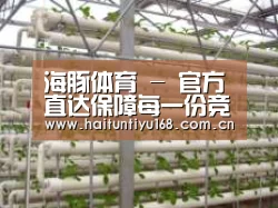 环境展示六