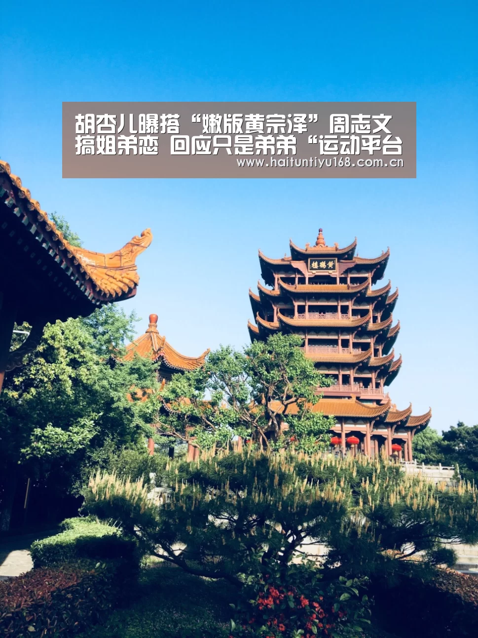 运动平台