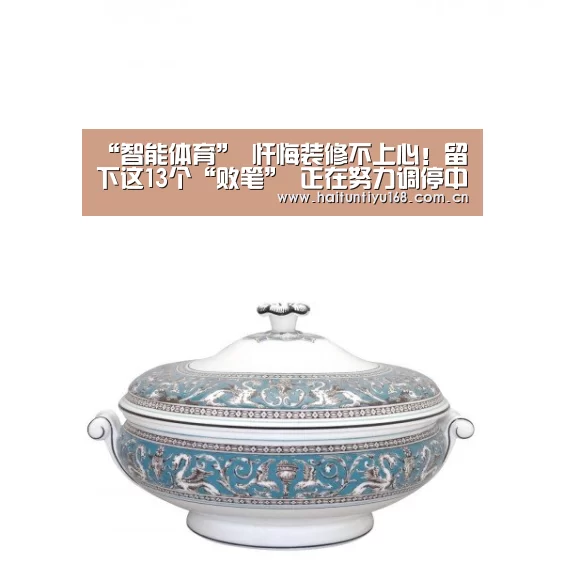 海豚体育
