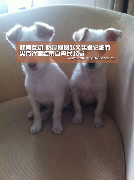 健身互动