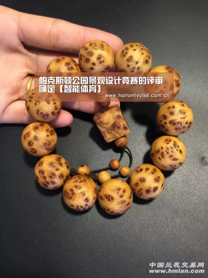 海豚体育