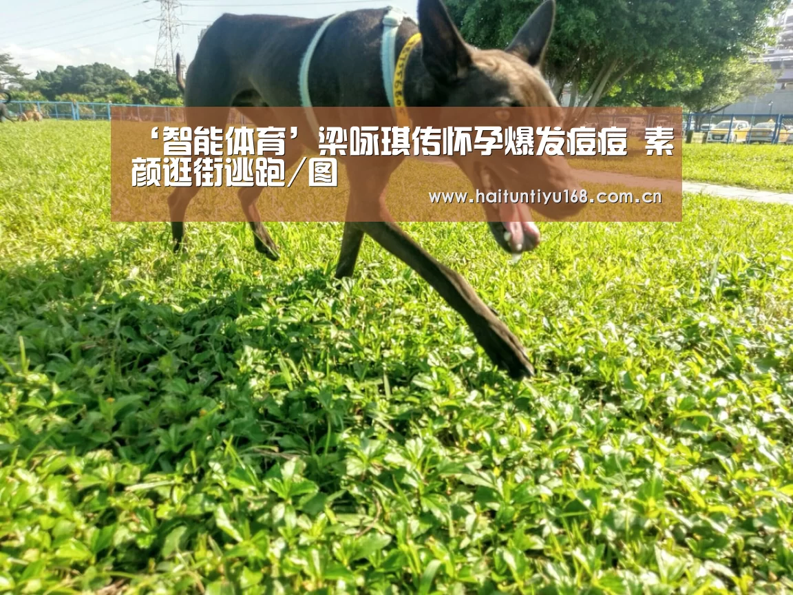 海豚体育