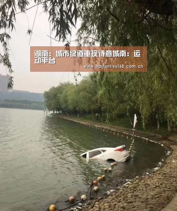 体育赛事